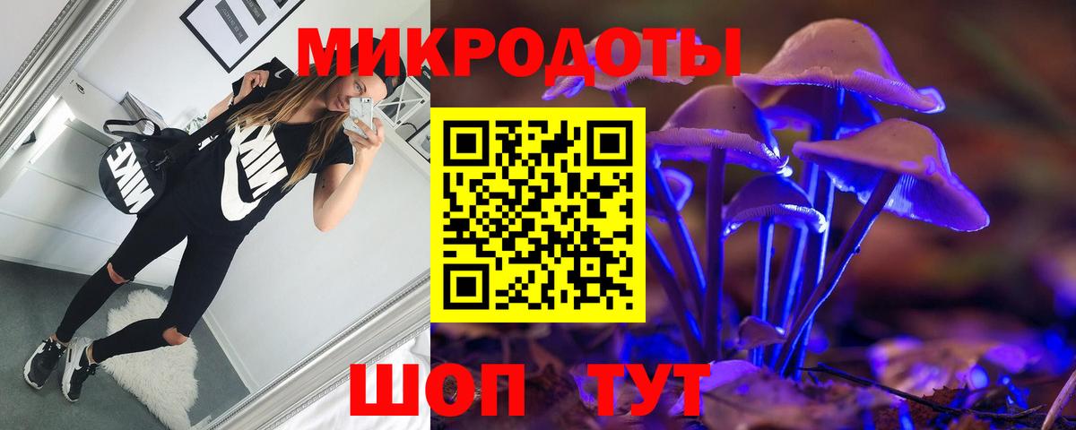 Псилоцибиновые грибы GOLDEN TEACHER  Галлюциногенные грибы GOLDEN TEACHER  продажа наркотиков  Вход с VPN  Усинск 